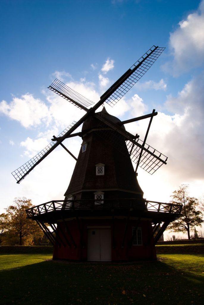 Tjek køleskabet derhjemme for økologiske produkter